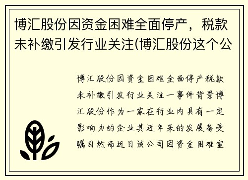 博汇股份因资金困难全面停产，税款未补缴引发行业关注(博汇股份这个公司怎么样)