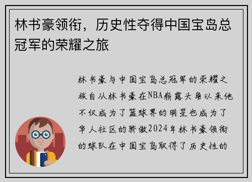 林书豪领衔，历史性夺得中国宝岛总冠军的荣耀之旅