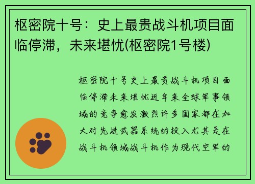 枢密院十号：史上最贵战斗机项目面临停滞，未来堪忧(枢密院1号楼)