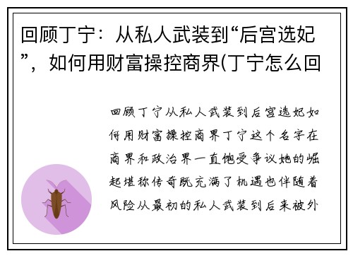 回顾丁宁：从私人武装到“后宫选妃”，如何用财富操控商界(丁宁怎么回事)