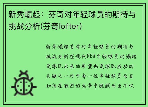 新秀崛起：芬奇对年轻球员的期待与挑战分析(芬奇lofter)