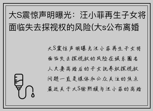 大S震惊声明曝光：汪小菲再生子女将面临失去探视权的风险(大s公布离婚之后)