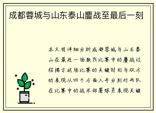 成都蓉城与山东泰山鏖战至最后一刻