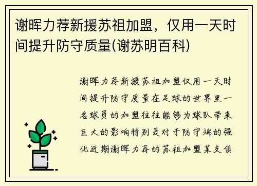 谢晖力荐新援苏祖加盟，仅用一天时间提升防守质量(谢苏明百科)