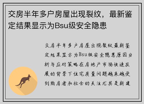 交房半年多户房屋出现裂纹，最新鉴定结果显示为Bsu级安全隐患